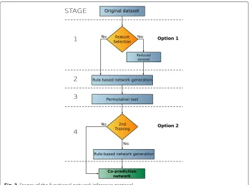 Fig. 3 Stages of the functional network inference protocol