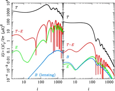FIGURE 4. Temperature (black), E-mode (green), B-mode (blue) and T -E cross-correlation (red) CMB power spectra from scalar perturbations (left) and tensor perturbations (gravitational waves; right).