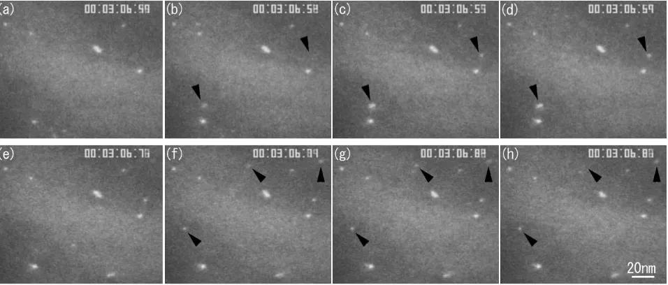 Fig. 1Microstructural evolution in copper irradiated with 240-keV Cuþ ions at 828 K. Ion beam current for the sample is 40 pA/�0:25 mm (5:1 � 1011 ions/cm2s)