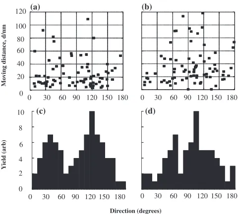 Fig. 5Mobility of glissile defects in gold under irradiation with 600 keV Ar2þ ion (1:3 � 1011 ions/cm2s) at 723 K