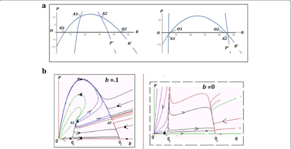 Fig. 4 Characteristics of model (5). a Null - isoclines and equilibria. Left panel: positive non-trivial equilibria A1, A2 as q = 4; right panel: no positivenon-trivial equilibria as q = 10