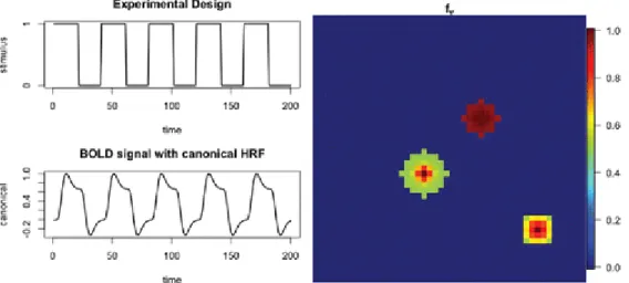 Figure 1.  Left: Block experimental design (top); expected BOLD signal obtained from convolving the stimulus  indicator signal with the canonical hemodynamic function (bottom)