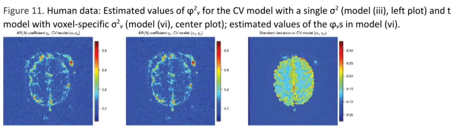 Figure 11. Human data: Estimated values of ϕ 2 v  for the CV model with a single σ 2  (model (iii), left plot) and the CV  model with voxel-specific σ 2 v  (model (vi), center plot); estimated values of the ϕ v s in model (vi)