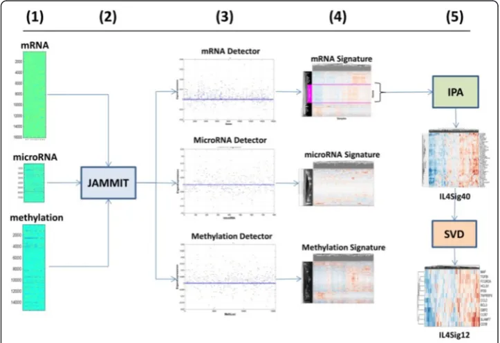 Fig. 1 JAMMIT analysis of global mRNA, microRNA, and methylation data from 291 ovarian tumors from TCGA.This workflow focuses on iteration #1 of a JAMMIT analyses of a MMDS composed of three large data matricesthat was reduced in a step-wise fashion to a 1