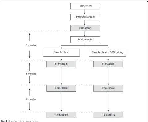 Fig. 1 Flow chart of the study design