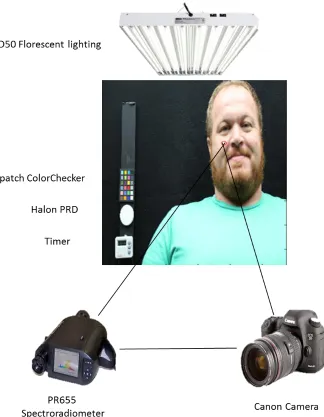 Figure 3-1: Example illustration of the experimental apparatus.  