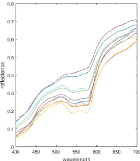 Figure 3-4: Reference spectra used in Experiment 1. Measured spectral reflectance curves from the back of a human hand during blanching caused by applying surface pressure