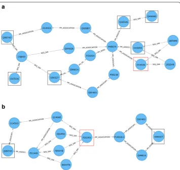 Fig. 9 Shortest path queries to explore relationships between a) the O15534 protein (PER1 gene) and b)reddisruption of clock genes [27], can be seen 3 steps away from the O00327(ARNTL/BMAL1) andQ99743(NPAS2) core clock genes (graph, the O15534 protein (PER