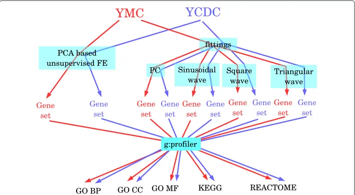 Fig. 8 Schematic of comparisons between PCA based unsupervised FE and FE based on fittings to variousperiodic functions