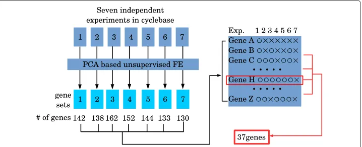 Fig. 5 Schematic of integrated analysis of YCDC by PCA based unsupervised FE. After PCA basedunsupervised FE was applied to each of seven experiments, seven sets of genes were identified