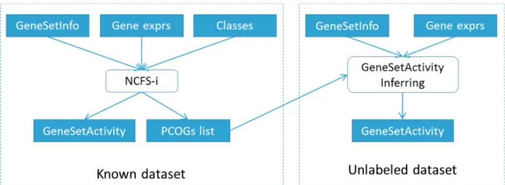 Fig. 1. Gene set activity inference in unlabeled dataset using PCOGs set of known dataset