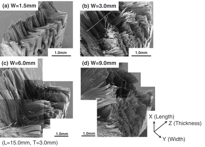 Fig. 6Typical tensile fracture surfaces of P/W SiC/SiC composites with varied gauge widths in the 45� oﬀ-axis loading test.