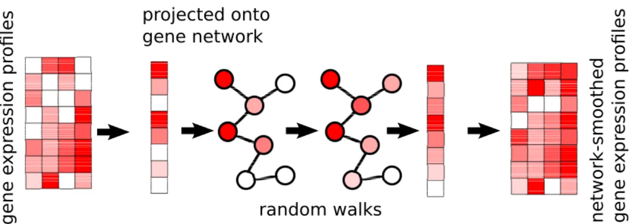 Figure 2.1: The netSmooth algorithm takes a gene expression proﬁle, and a gene network