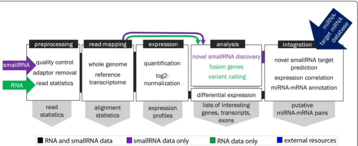 Fig. 1 SePIA workflow summarized in five generalized modules. Each module contains a brief description ofthe major steps performed in each pipeline