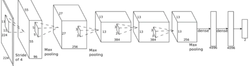 Figure 3: Alexnet architecture [2].