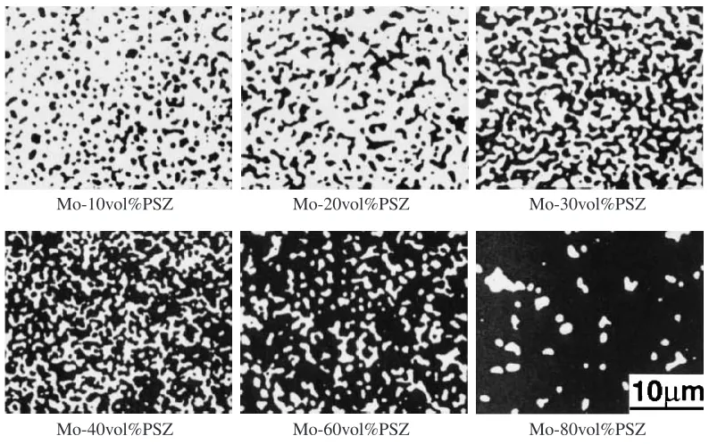 Fig. 2Optical microstructures of sintered Mo/PSZ composites. White and black phases corresponding to Mo and PSZ respectively.