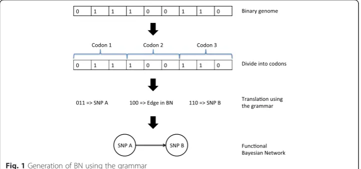 Fig. 1 Generation of BN using the grammar