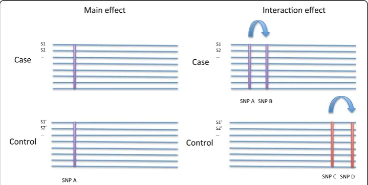 Fig. 2 Schematic of data simulation. Main effect models have different allele frequencies in case andcontrol datasets at the simulated SNPs