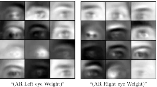 Figure 2.2: Selected bases (or centroids) trained on AR images using K-Means in HPCC.