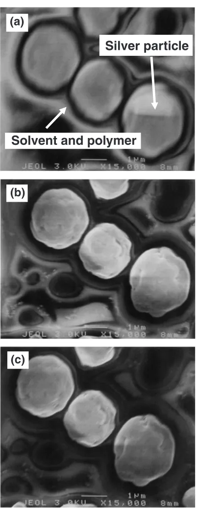 Fig. 8Silver particle morphology in conductive adhesive B for curing time(a) 0 ks, (b) 0.9 ks, (c) 3.6 ks.