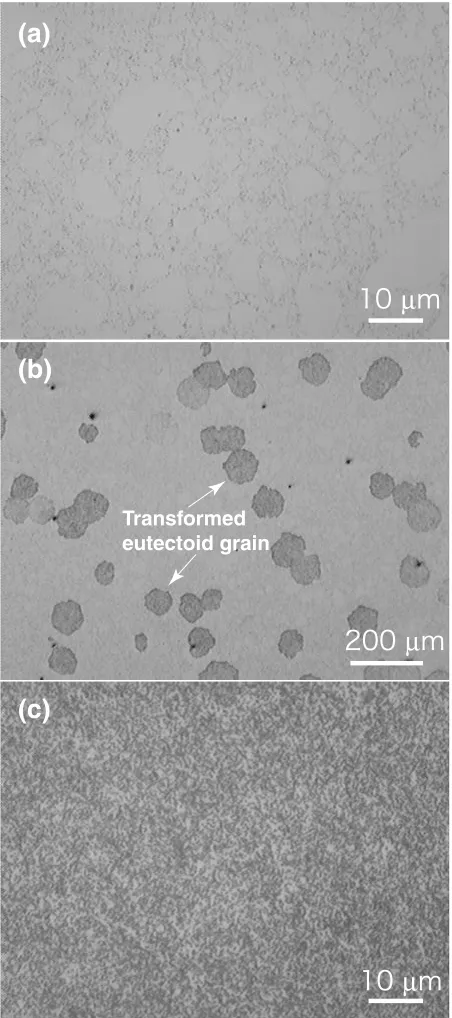 Fig. 5Time dependence of the electrical resistivity for the Fe29:5Si70:5alloy under isothermal annealing at various temperatures.
