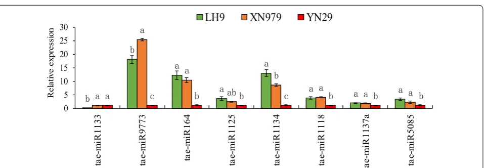 Fig. 3 Relative expression analysis of differentially expressed circRNAs (DECs). a The results of relative expression analysis of circRNAs by using real-time PCR technology (*p < 0.05)