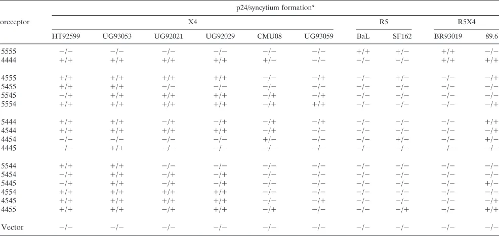 TABLE 3. Infection of CCR5/CXCR4 chimera cell lines by HIV-1 primary isolates