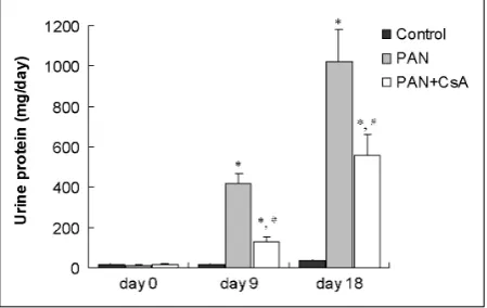 Fig. 2 shows the ZO-1 protein expression as es-