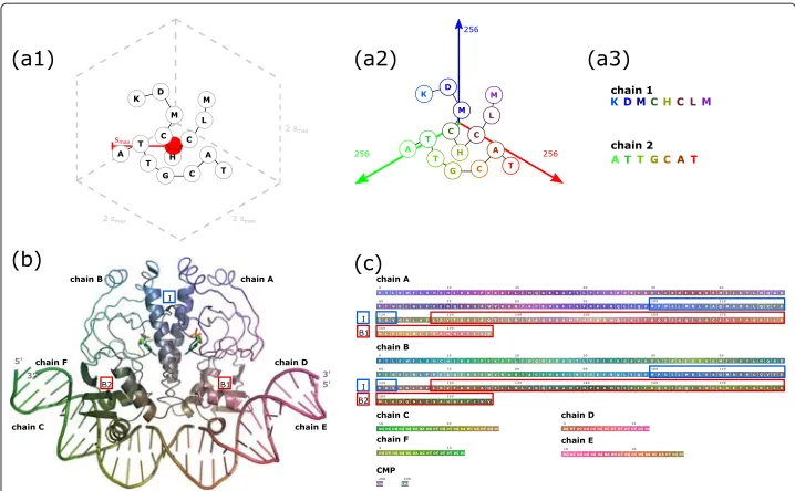 Fig. 1 Schematic workflow of SequenceCEROSENE and example output shown for transcription promotergiven molecular complex is embedded in a cubic bounding box (color space (locations of residues (interfacial residues between both peptide chains in CAP are lo
