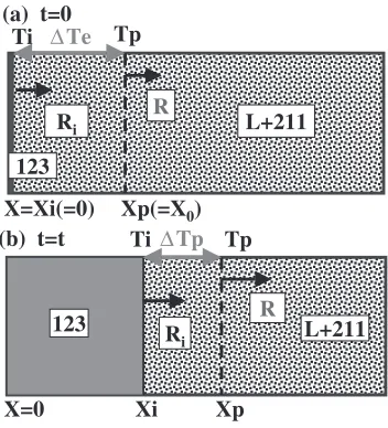 Fig. 2Schematic ﬁgure of growth process of 123 crystal.