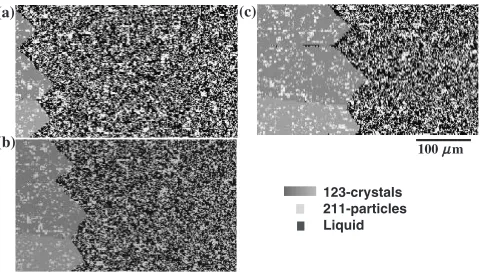 Fig. 8Simulated growth process of faceted 123-cells from 211+liquid inhyper-peritectic YBCO (with ﬁne 211 particles) fabricated by theconventional unidirectional solidiﬁcation