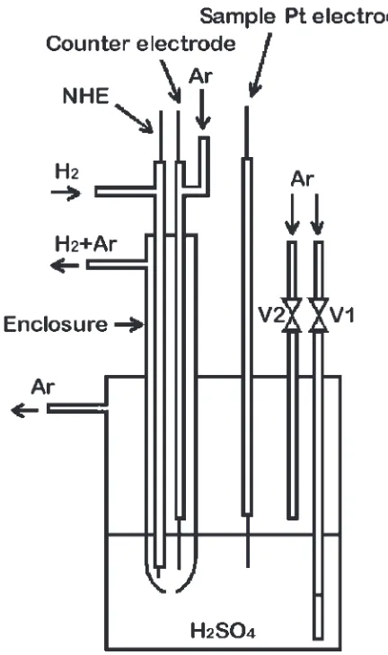 Fig. 1Gas controllable H2 j Hþelectrolyte j Pt cell. The dissolved oxygenin the electrolyte was removed by Ar gas bubbling