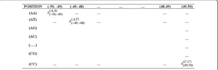 Fig. 5 A sample scoring matrix. There are 101 columns for different combination of positions and 16 rowsfor all possible combinations of nucleotides