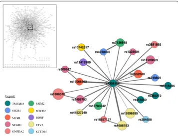 Fig. 6 Focused view on the node (rs4358154 in TMEM18) showing the highest degree, betweennesscentrality and closeness centrality within the Statistical Epistasis Network