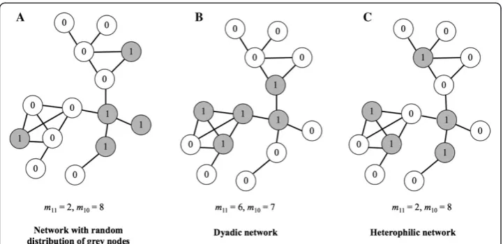 Fig. 2 Examples of dyadic and heterophilic distributions of node properties in a network