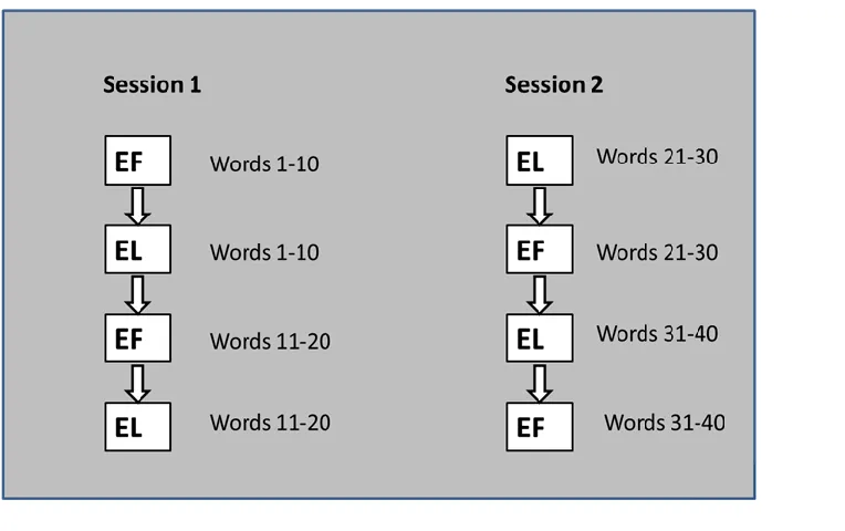 Figure 1. Structure of therapy sessions 