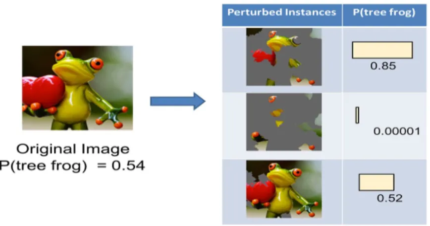 Fig. 2. Examples of perturbed instances of an image and their predic- predic-tions. Source:  https://www.oreilly.com/learning/introduction-to-local-interpretable-model-agnostic-explanations-lime