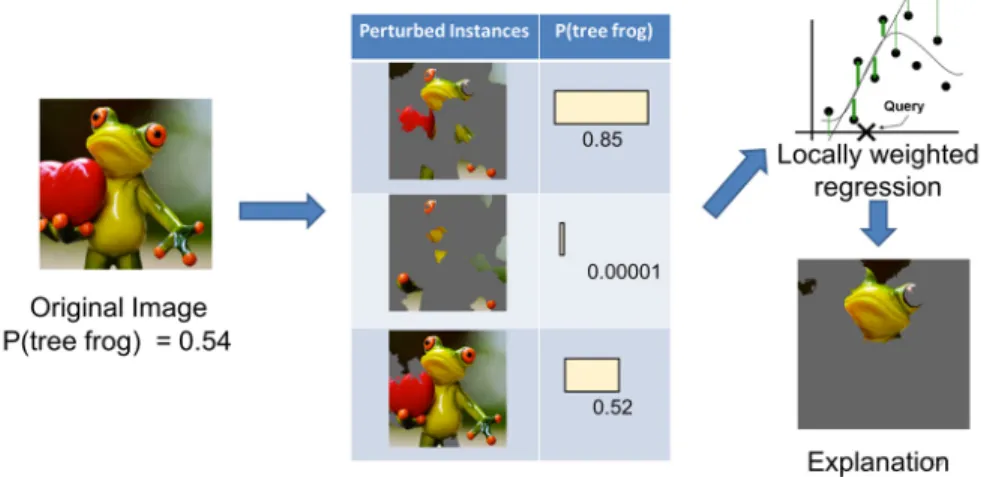 Fig. 3. Explaining the prediction of a classifier with LIME. Source: