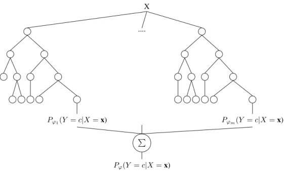 Figure 3.1 An example of a random forest. X denotes the input variables, Y is the output variable, and P is a partition of the data from which X and Y are drawn