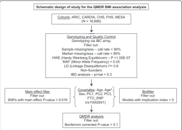 Fig. 1 Schematic design of the QMDR (Quantitative Multifactor Dimensionality Reduction) analysis foridentifying SNP-SNP interaction models associated with BMI