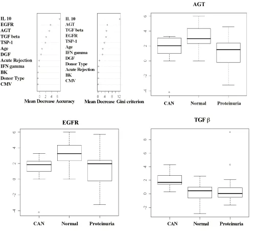 Figure 3. For predicting CAN, normal, or proteinuria: the mean decrease in accuracy (left panel) and mean decrease in Gini impurity (right panel)
