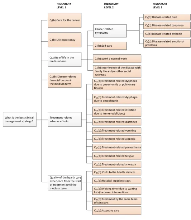 Figure 2.3. Final hierarchy of criteria for the Expert Choice-based PDA and the  ALEL-based PDA 