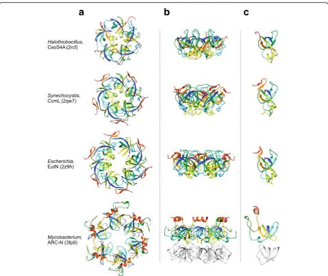 Fig. 2 Structural comparison of the minor shell protein (BMC-P) of bacterial microcompartments with the OB-fold domain of the ARC ATPase fromMycobacterium tuberculosis