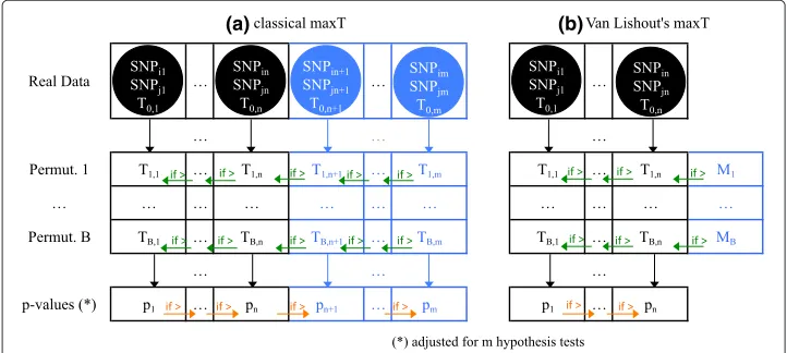 Fig. 1 classical MaxT versus Van Lishout’s implementation of MaxT. In the classical implementation of MaxT,all Ti,j values are computed and stored in memory, ∀i = 0 