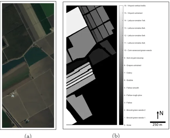 Figure 2.3: (a) RGB representation of Salinas imagery, (b) Salinas Reference Data [3].