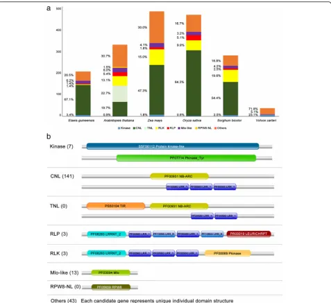 Fig. 7 Classification of candidate R genes. a Distribution of the genes in oil palm, A