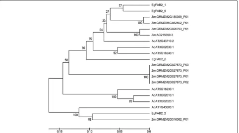 Fig. 10 Evolutionary relationship of FAB2 in oil palm (6 software. Abbreviations: Eg -E