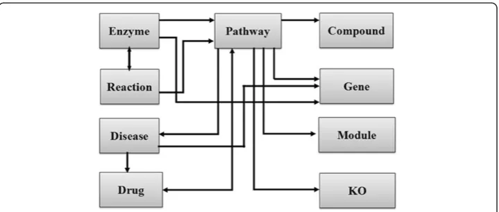 Fig. 3 Schematic representation of the utilities available for databases available at the KEGG resource.Arrows connecting the databases indicate directionality of searching the databases using BDE utilities.Unidirectional arrows indicate search of target d