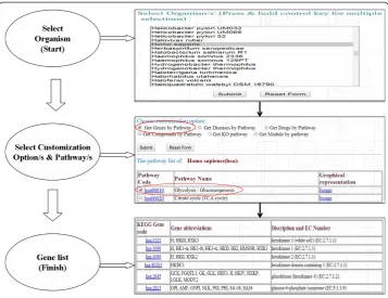 Fig. 5 A diagram depicting usage of various utilities and databases in BDE. With ENA (EMBL-Bank) as astarting point, four utilities in BDE (shown as ovals with dashed border) leads to extraction of three differentdata sets (shown as gray boxes) from three 