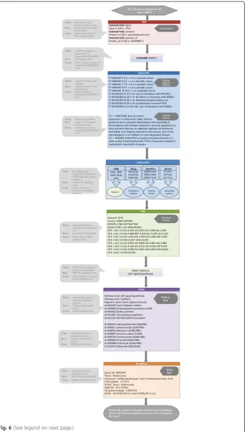 Fig. 6 (See legend on next page.)